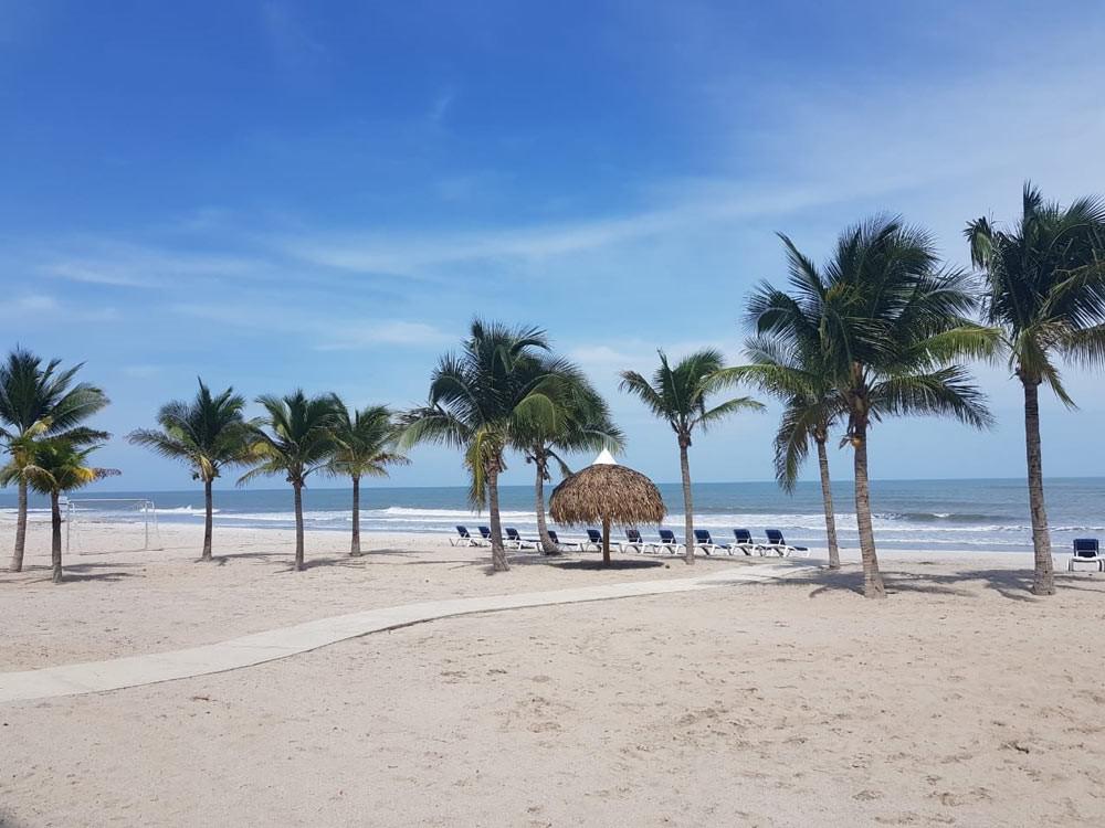 playa caracol palm trees and beach hut