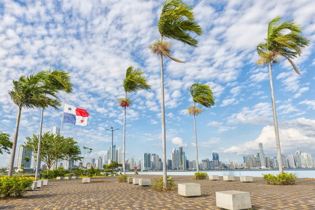 Palm trees under a blue sky in Panama, with the high-rise buildings of Avenida Balboa in the background.