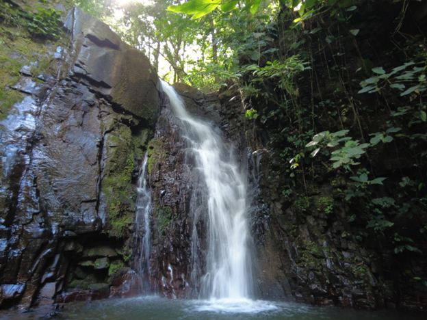Filipina waterfalls in Panama. A small waterfall surrounded by the jungle.