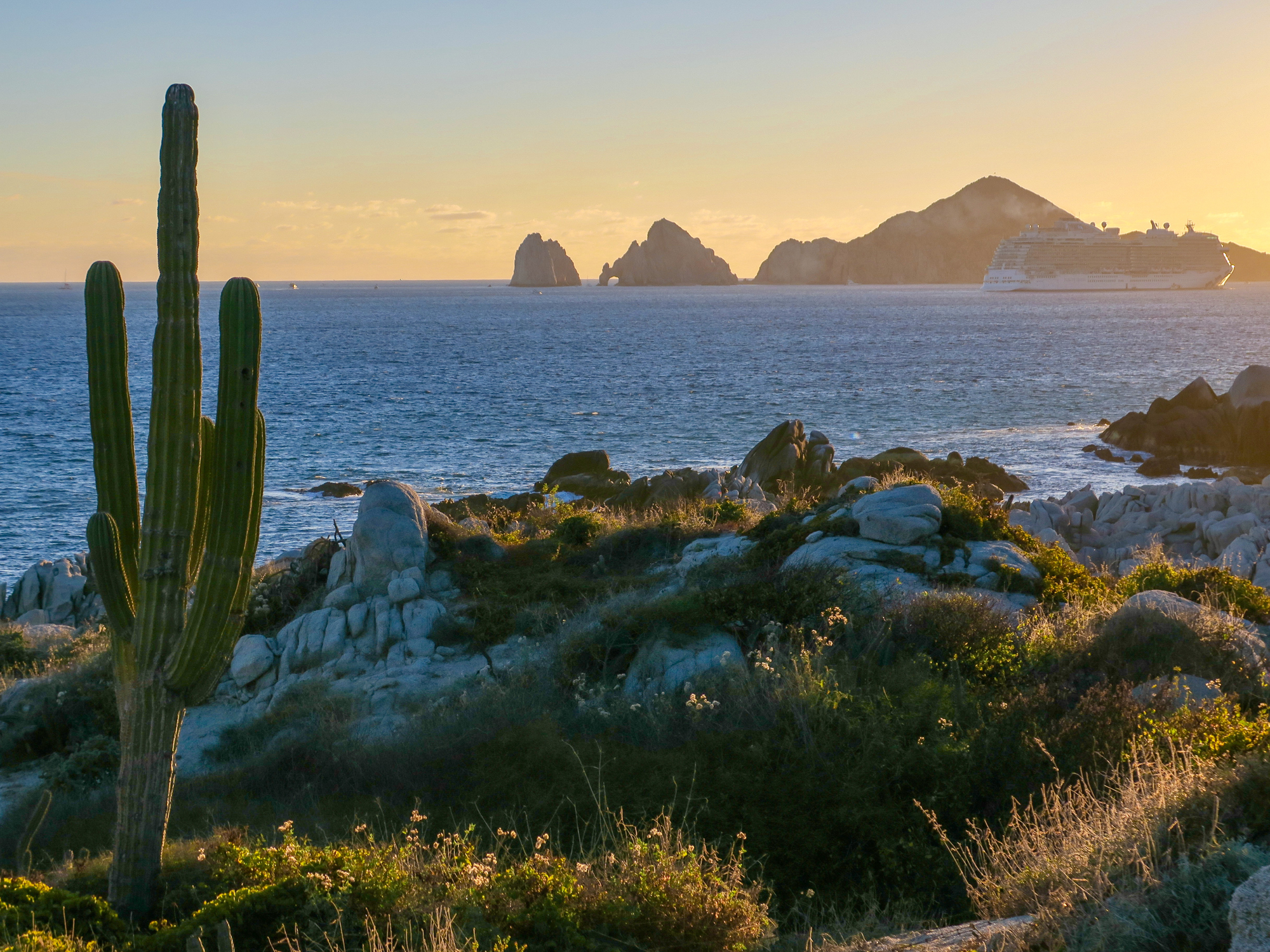 Cactus in the foreground and the famous Cabo arches in the background behind the sea