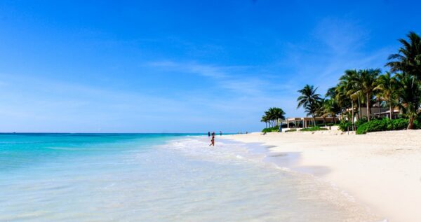 Beautiful tropical beach on the Riviera Maya. Blue sea, sunny sky, palm trees.