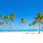 Juanillo Beach in Cap Cana. Palm trees, blue skies, white sand, turquoise sea