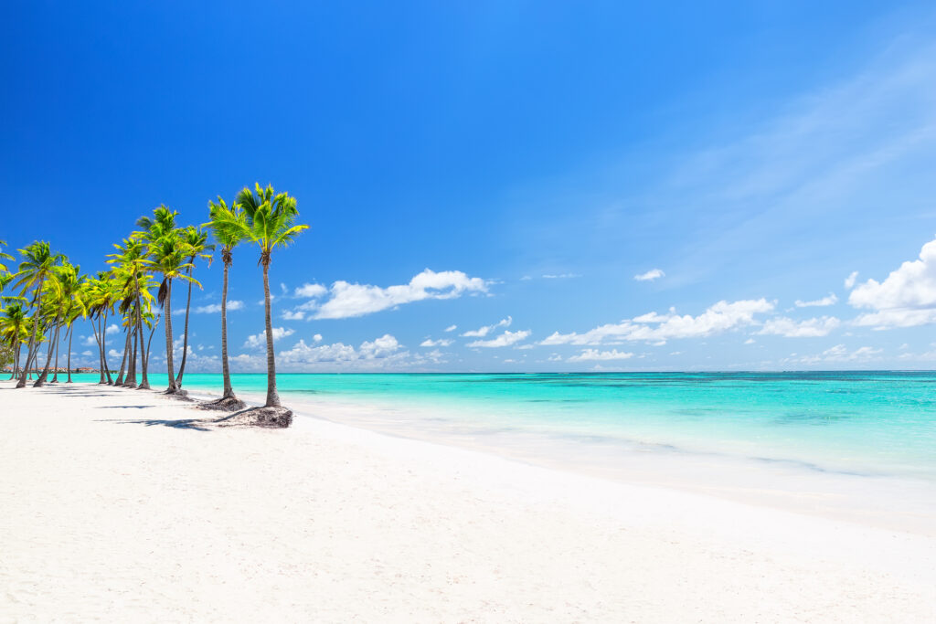 Beautiful tropical white sand beach and coconut palm tree in Cap Cana Dominican Republic. Holiday beach concept.